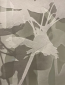 "GROW" Exhibition Opens in Galletly Gallery "GROW" Exhibition Opens in Galletly Gallery