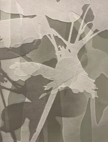"GROW" Exhibition Opens in Galletly Gallery